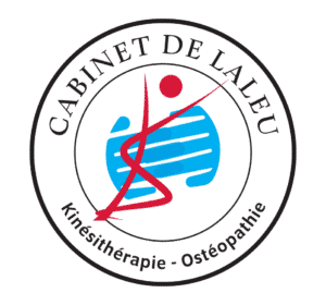 logo kine delaleu noir carre